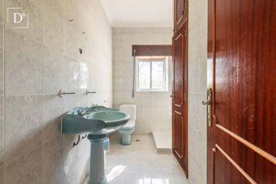 1-11333-a6143ebb3cb0547d86cbab874af8e5c603a53