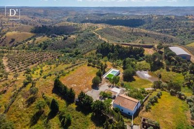 1-11333-a6143ebb3cb0547d86cbab874af8e5c603a53