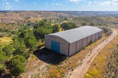 1-11333-a6143ebb3cb0547d86cbab874af8e5c603a53