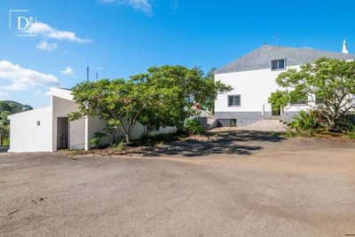 1-11333-a6143ebb3cb0547d86cbab874af8e5c603a53