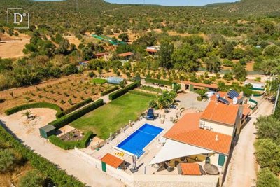 1-11955-a6143ebb3cb0547d86cbab874af8e5c603a53