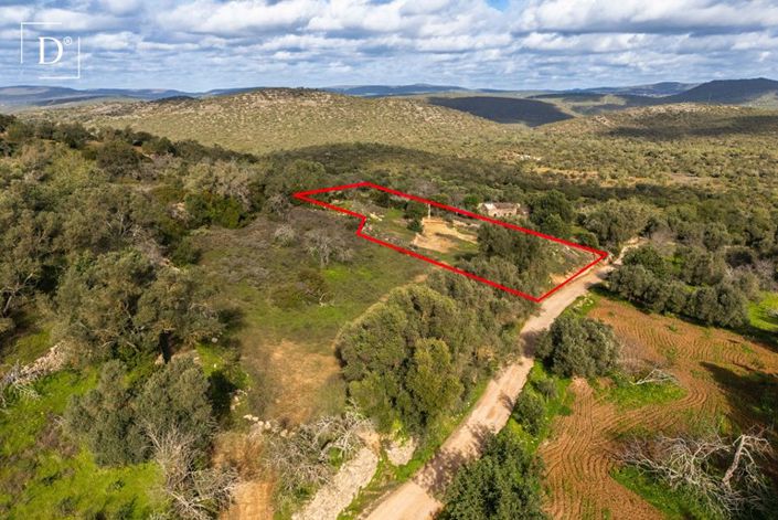 Image No.11-Terre de 3 chambres à vendre à Boliqueime