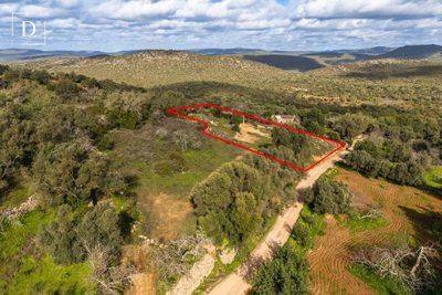 1-11993-a6143ebb3cb0547d86cbab874af8e5c603a53