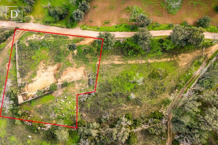 Image No.3-Terre de 3 chambres à vendre à Boliqueime