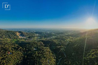 1-12014-a6143ebb3cb0547d86cbab874af8e5c603a53