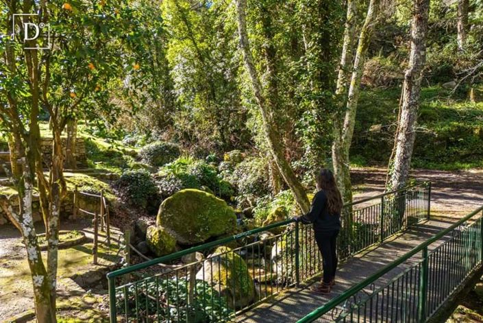 Image No.2-12 Bed Property for sale