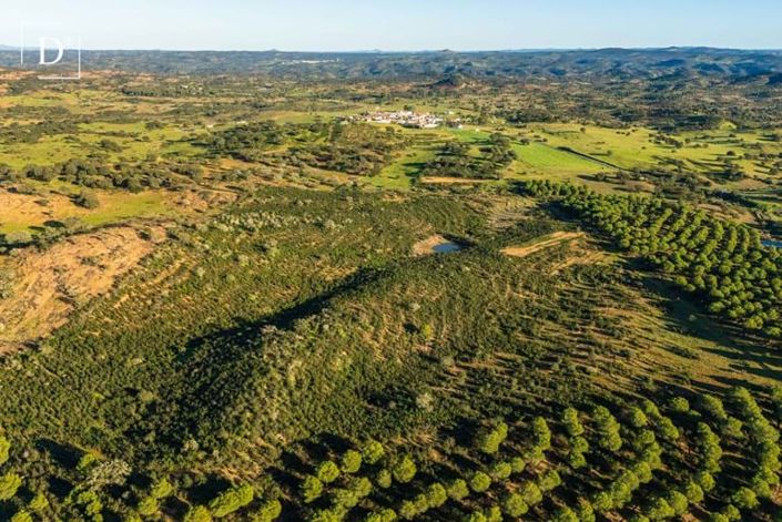 Image No.2-Terre à vendre à Mértola