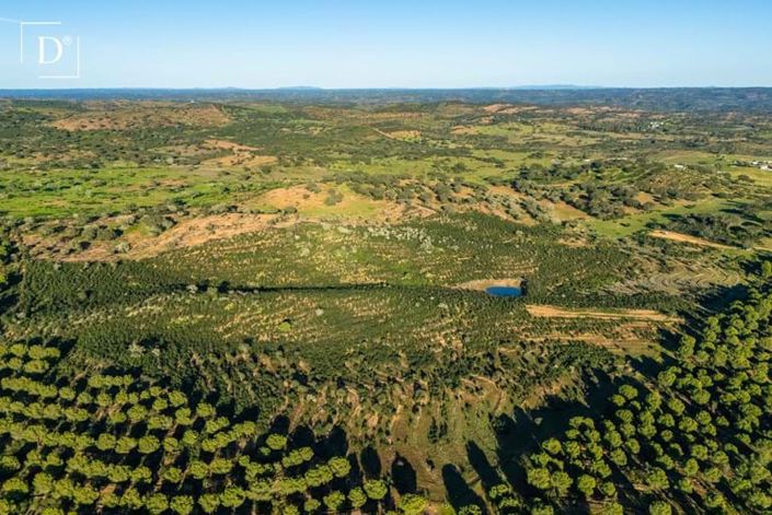 Image No.3-Terre à vendre à Mértola