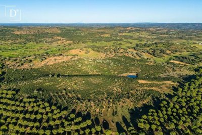 1-12018-a6143ebb3cb0547d86cbab874af8e5c603a53