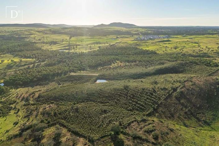 Image No.4-Terre à vendre à Mértola