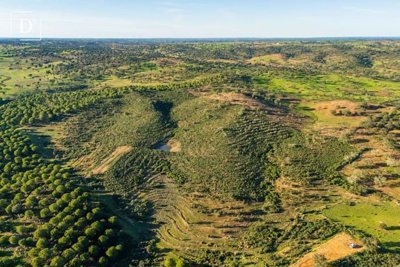 1-12018-a6143ebb3cb0547d86cbab874af8e5c603a53