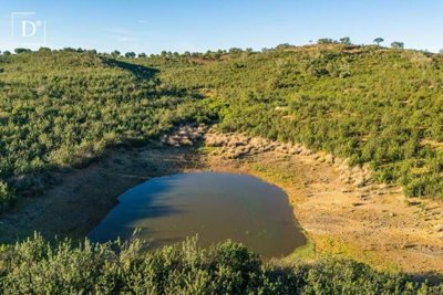 1-12018-a6143ebb3cb0547d86cbab874af8e5c603a53