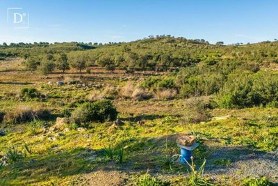 1-12018-a6143ebb3cb0547d86cbab874af8e5c603a53