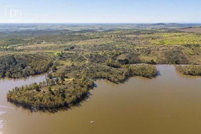 1-11797-a6143ebb3cb0547d86cbab874af8e5c603a53