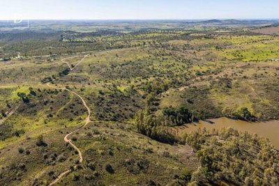 1-11797-a6143ebb3cb0547d86cbab874af8e5c603a53