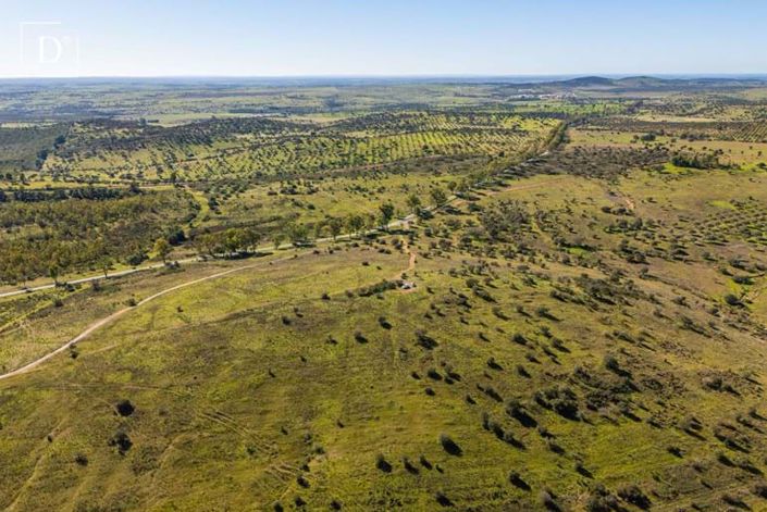 Image No.5-Terre à vendre à Mértola