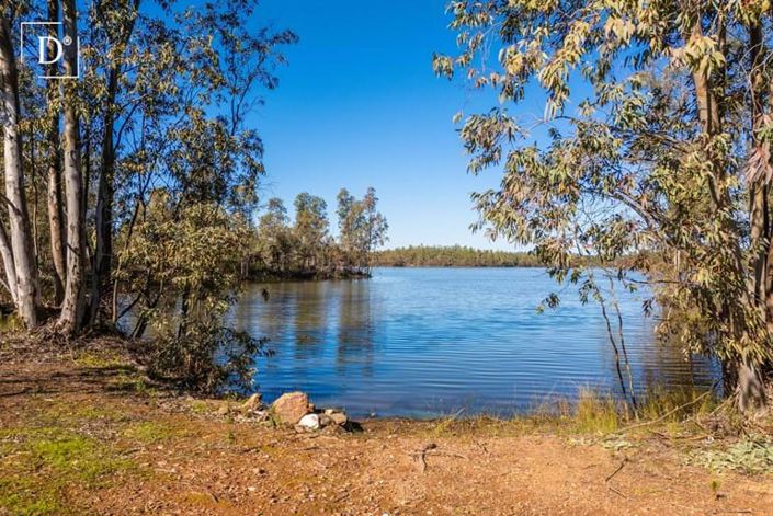Image No.6-Terre à vendre à Mértola