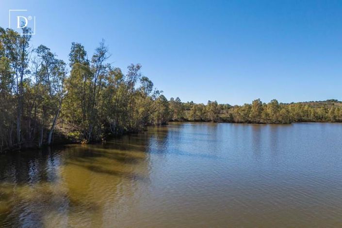 Image No.7-Terre à vendre à Mértola