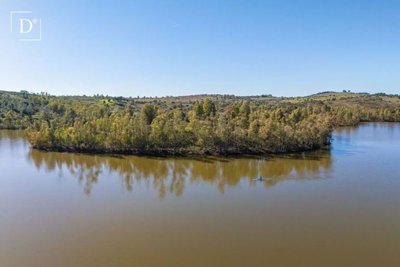 1-11797-a6143ebb3cb0547d86cbab874af8e5c603a53