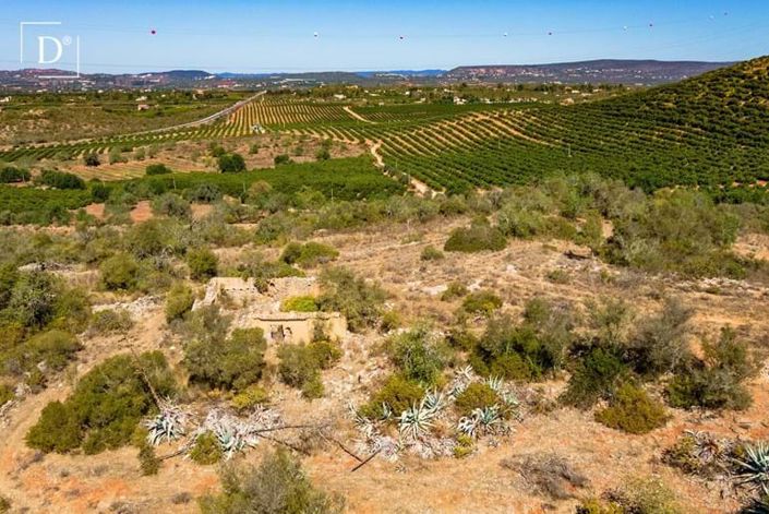 Image No.6-Villa de 4 chambres à vendre à Silves