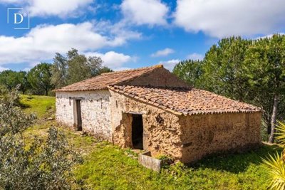 1-12051-a6143ebb3cb0547d86cbab874af8e5c603a53