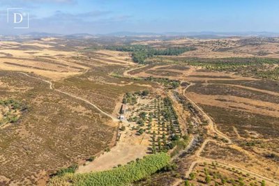 1-12100-a6143ebb3cb0547d86cbab874af8e5c603a53