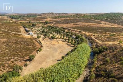 1-12100-a6143ebb3cb0547d86cbab874af8e5c603a53