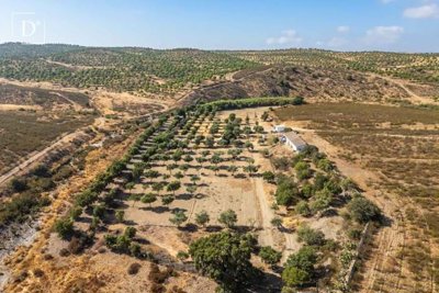 1-12100-a6143ebb3cb0547d86cbab874af8e5c603a53