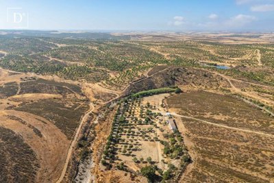 1-12100-a6143ebb3cb0547d86cbab874af8e5c603a53