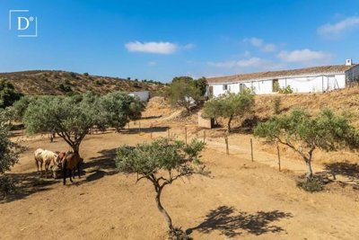 1-12100-a6143ebb3cb0547d86cbab874af8e5c603a53