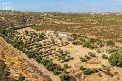 1-12100-a6143ebb3cb0547d86cbab874af8e5c603a53