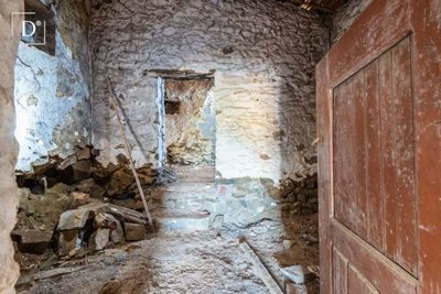 1-12116-a6143ebb3cb0547d86cbab874af8e5c603a53