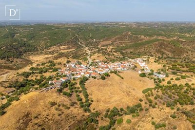 1-12116-a6143ebb3cb0547d86cbab874af8e5c603a53