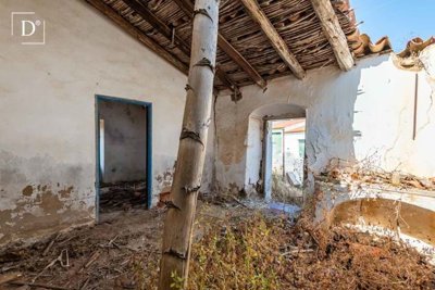 1-12116-a6143ebb3cb0547d86cbab874af8e5c603a53