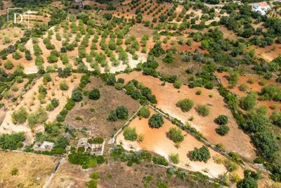 1-12155-a6143ebb3cb0547d86cbab874af8e5c603a53