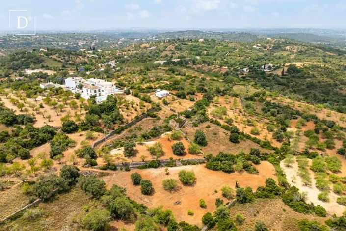 Image No.18-Terre à vendre à Boliqueime