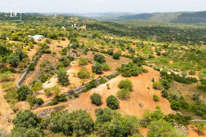 Image No.19-Terre à vendre à Boliqueime