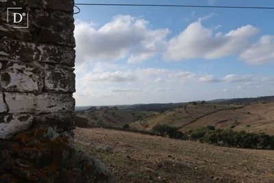 1-12173-a6143ebb3cb0547d86cbab874af8e5c603a53