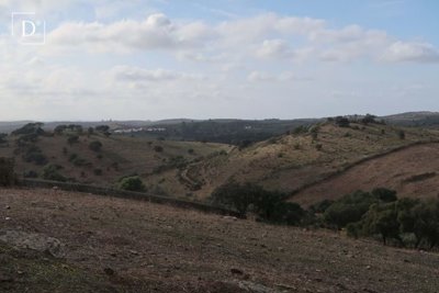 1-12173-a6143ebb3cb0547d86cbab874af8e5c603a53