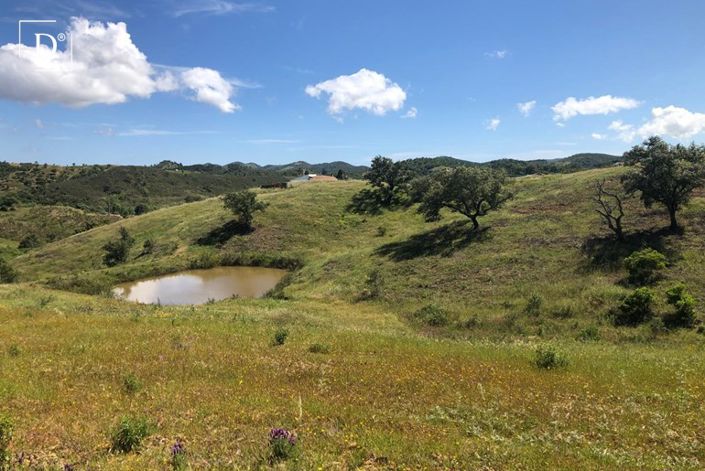 Image No.7-Terre à vendre à São Marcos da Serra