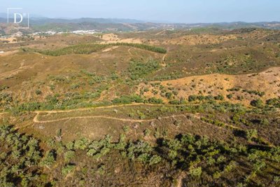 1-12160-a6143ebb3cb0547d86cbab874af8e5c603a53