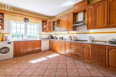 1-12255-a6143ebb3cb0547d86cbab874af8e5c603a53