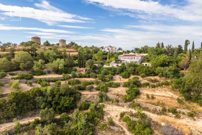 1-12218-a6143ebb3cb0547d86cbab874af8e5c603a53