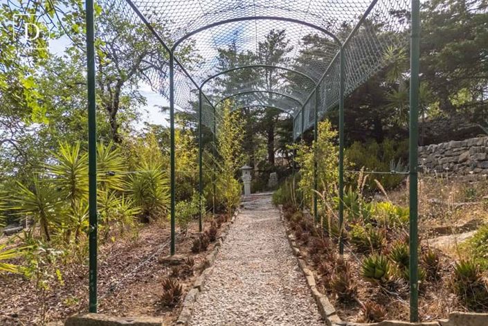 Image No.32-Villa de 3 chambres à vendre à Estói