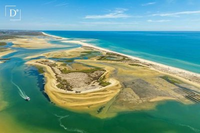 1-12225-a6143ebb3cb0547d86cbab874af8e5c603a53