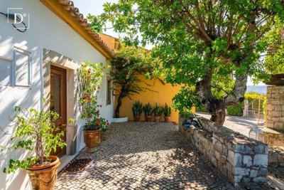 1-12303-a6143ebb3cb0547d86cbab874af8e5c603a53