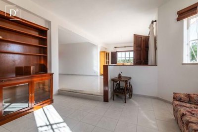 1-12306-a6143ebb3cb0547d86cbab874af8e5c603a53