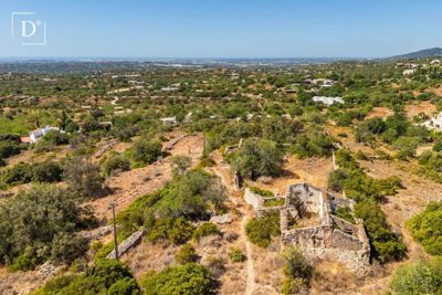 1-12154-a6143ebb3cb0547d86cbab874af8e5c603a53