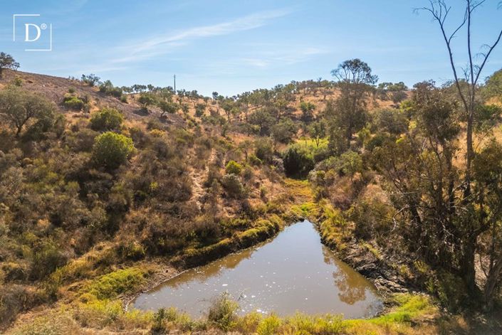 Image No.39-Villa de 2 chambres à vendre à Serpa