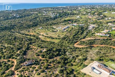 1-12354-a6143ebb3cb0547d86cbab874af8e5c603a53